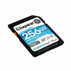 Kingston Canvas GoPlus 256GB micro SDXC Class 10 (QU)